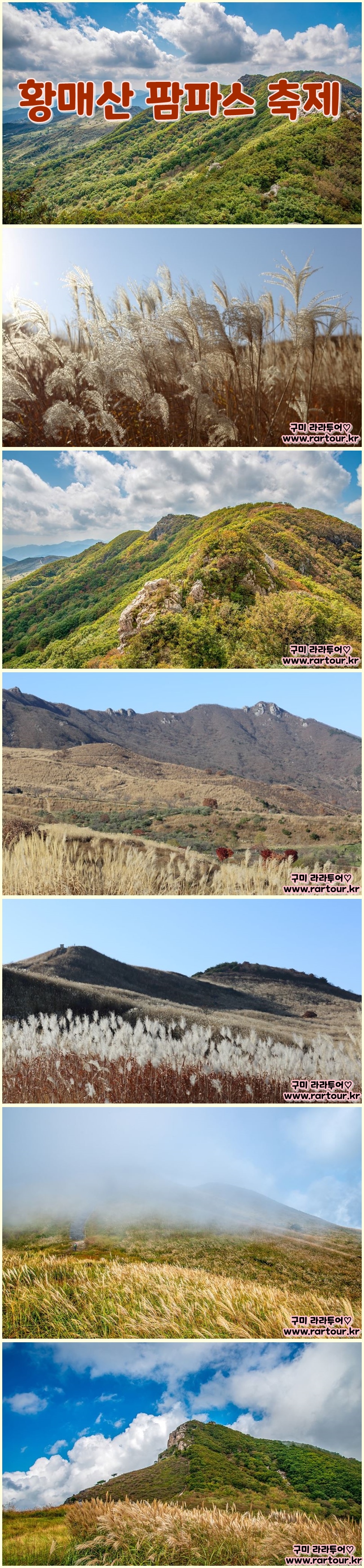 황매산팜파스완성.jpg