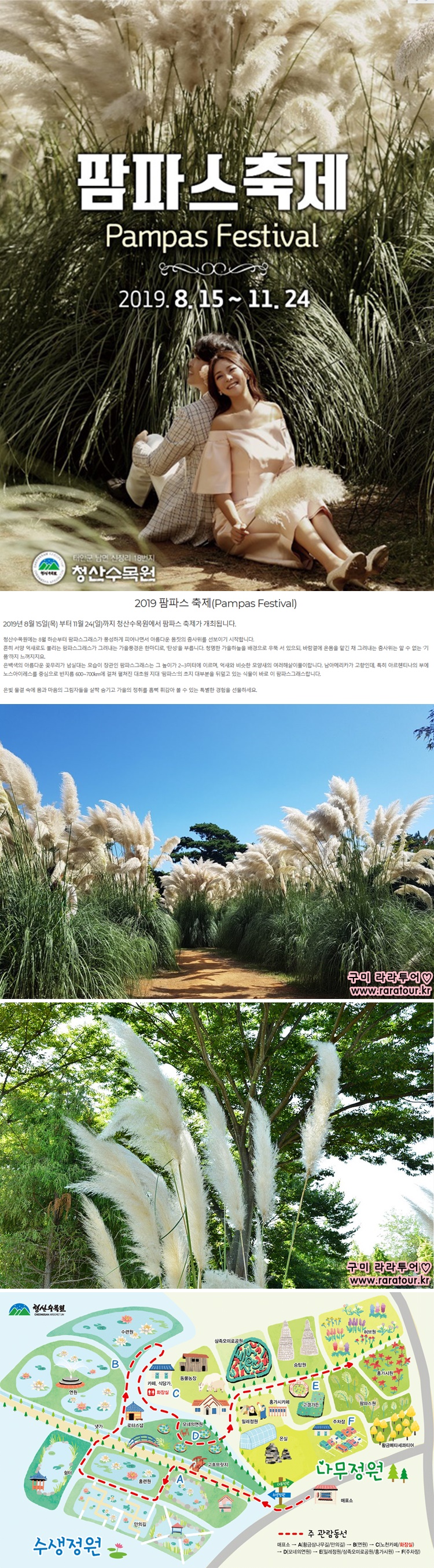 태안팜파스축제.jpg