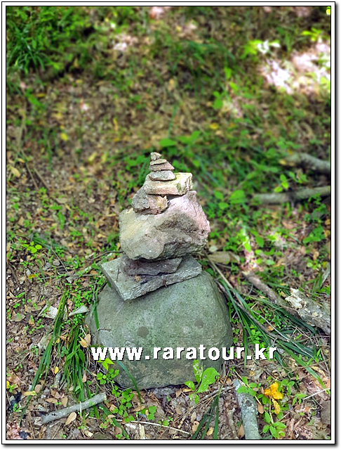 raratour-20191012-0110.jpg