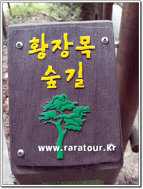 raratour-20191012-0121.jpg
